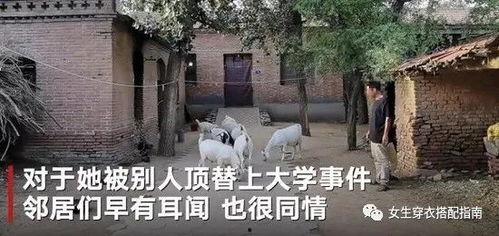 临安木府吃瓜事件始末,一场网络热议的始末揭秘