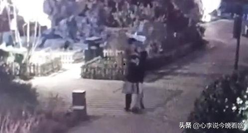 泰州吃瓜事件视频曝光,一场引发热议的网络风波