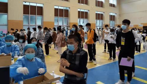 樊城吃瓜事件最新消息,最新进展揭秘，真相大白引热议