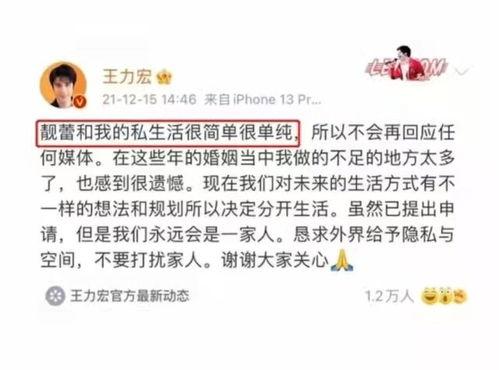 信阳新县吃瓜事件始末,一场网络舆论的风波与反思