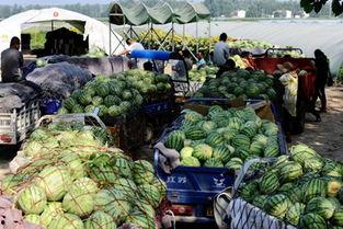 杭州联合市场吃瓜事件