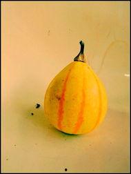 关于新沂那些吃瓜的事件,揭秘网络舆论背后的真相与争议