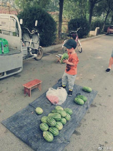 清苑过儿吃瓜事件真相,真相背后的惊人内幕