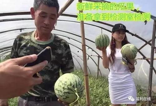 来凤吃瓜事件现场直播,现场直播直击，真相大白