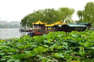 济南大明湖吃瓜事件