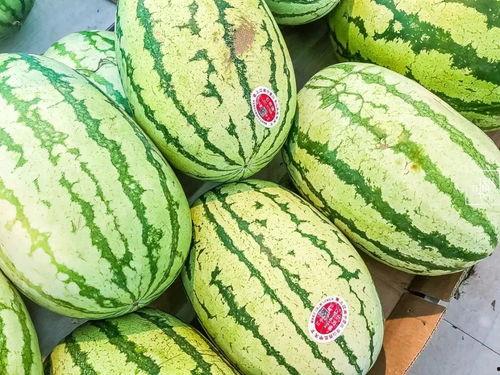 江苏江阴吃瓜事件