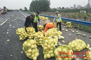 许昌近期吃瓜事件,揭秘近期网络热议事件背后的真相