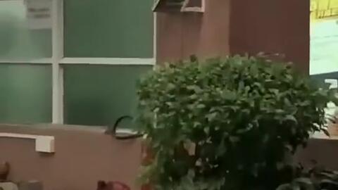 最新平顶山吃瓜事件新闻,揭秘背后真相与网络舆论风暴