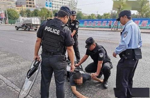 镇平吃瓜事件是谁处理的,揭秘处理背后的真相