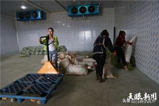 水城县吃瓜事件始末,一场网络谣言引发的争议与反思