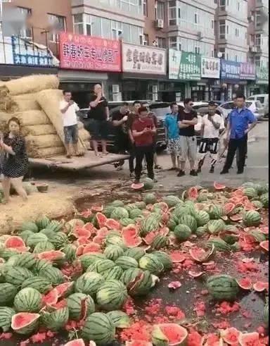 禹州菜园街吃瓜事件始末,一场引发热议的街头冲突始末