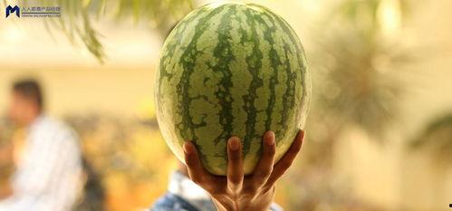 最新吃瓜事件大事件是什么,揭秘娱乐圈惊天大秘密